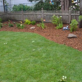 Backyard Resod, Landscaping and Gardens